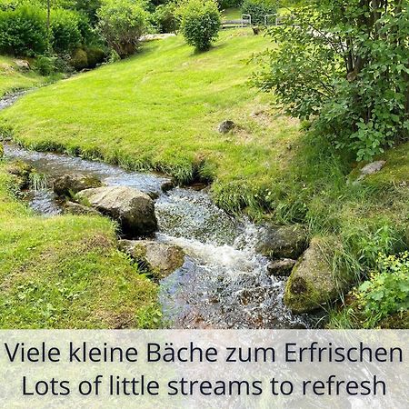 Auszeit Apartment Black Forest Schonach im Schwarzwald Eksteriør bilde