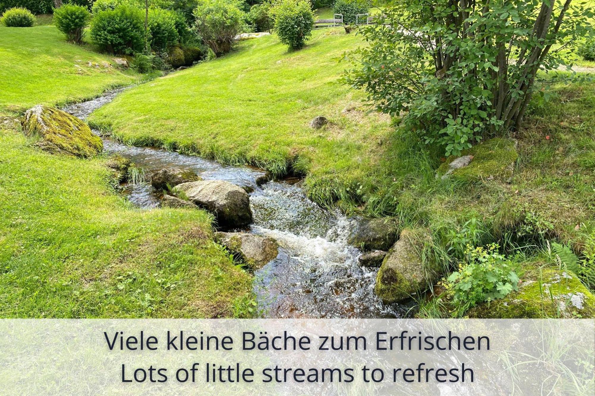 Auszeit Apartment Black Forest Schonach im Schwarzwald Eksteriør bilde