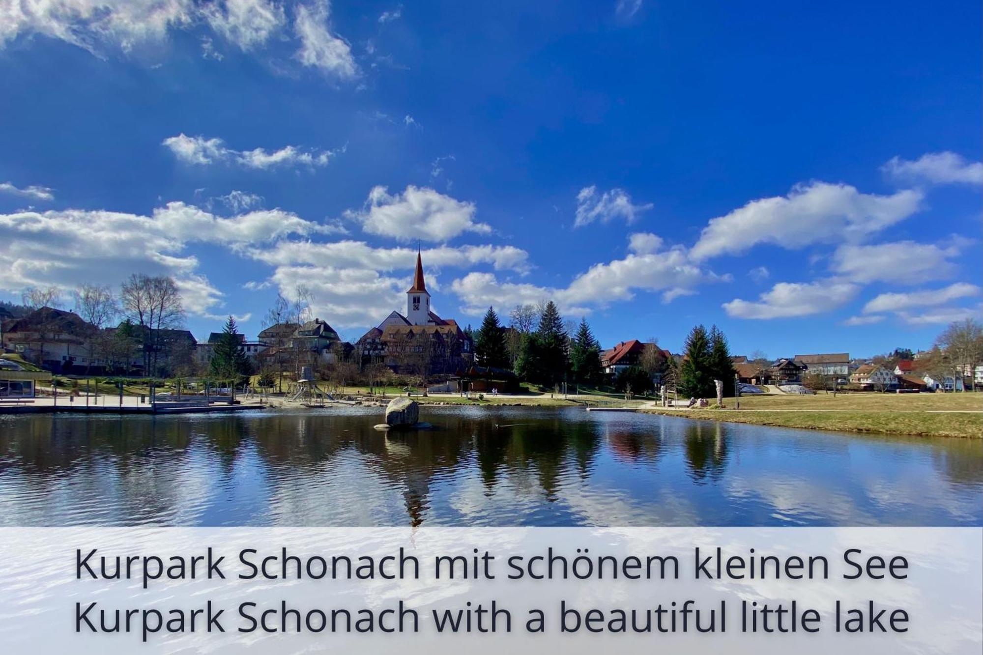 Auszeit Apartment Black Forest Schonach im Schwarzwald Eksteriør bilde