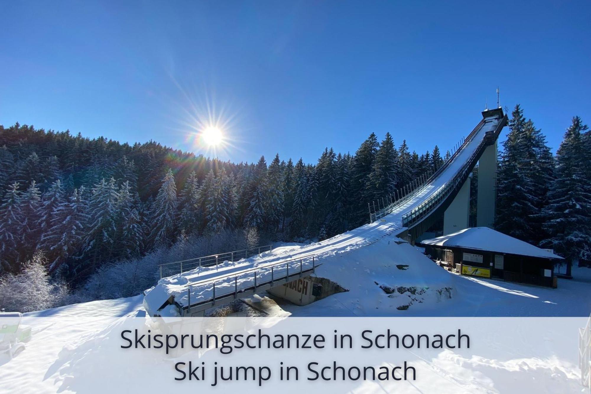Auszeit Apartment Black Forest Schonach im Schwarzwald Eksteriør bilde