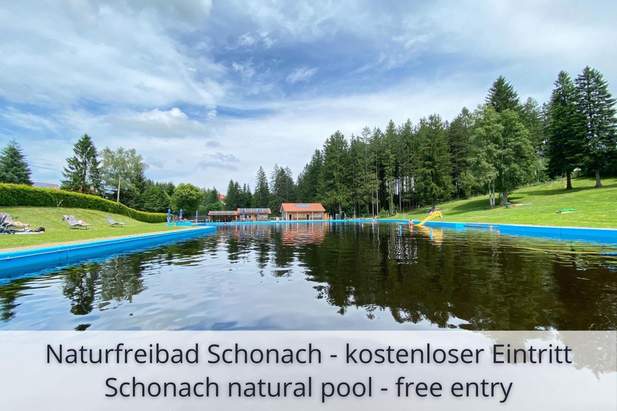 Auszeit Apartment Black Forest Schonach im Schwarzwald Eksteriør bilde