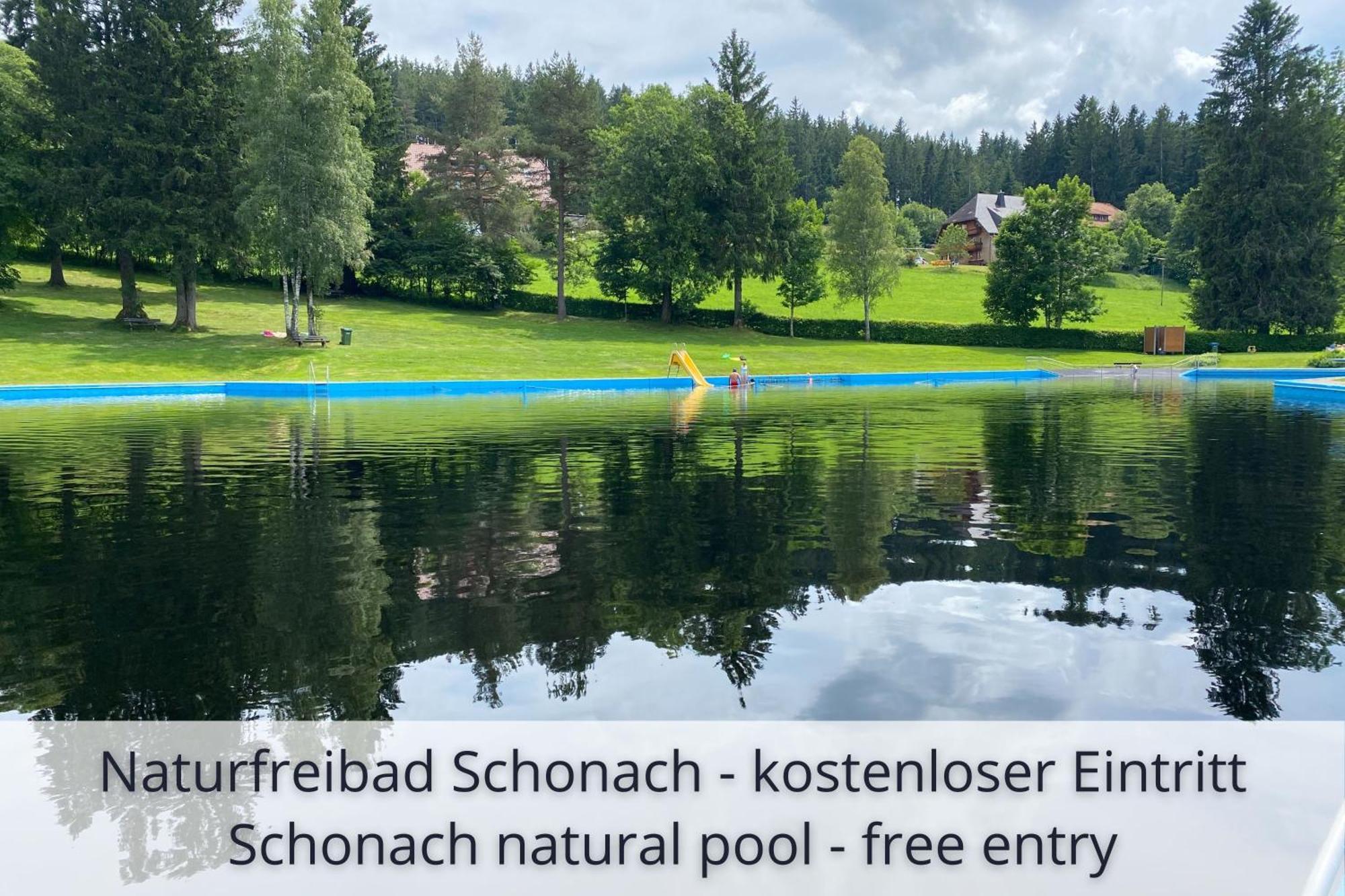 Auszeit Apartment Black Forest Schonach im Schwarzwald Eksteriør bilde