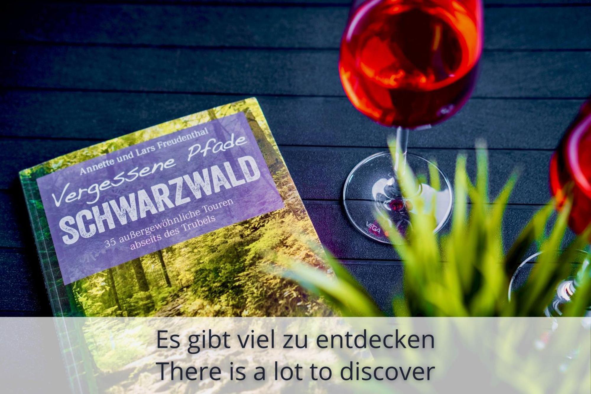 Auszeit Apartment Black Forest Schonach im Schwarzwald Eksteriør bilde