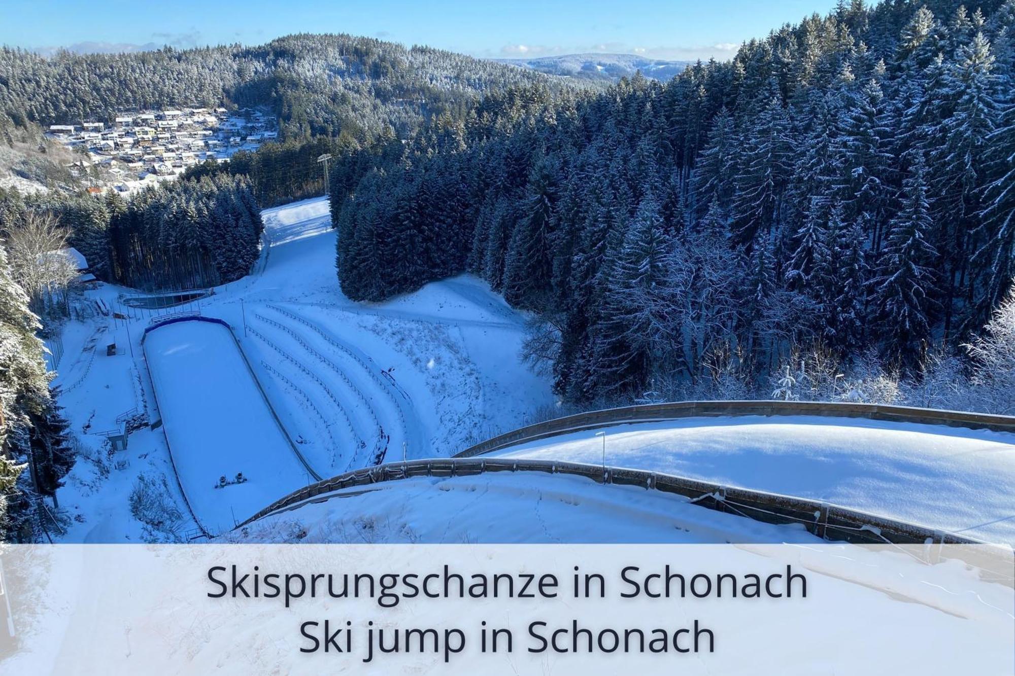 Auszeit Apartment Black Forest Schonach im Schwarzwald Eksteriør bilde