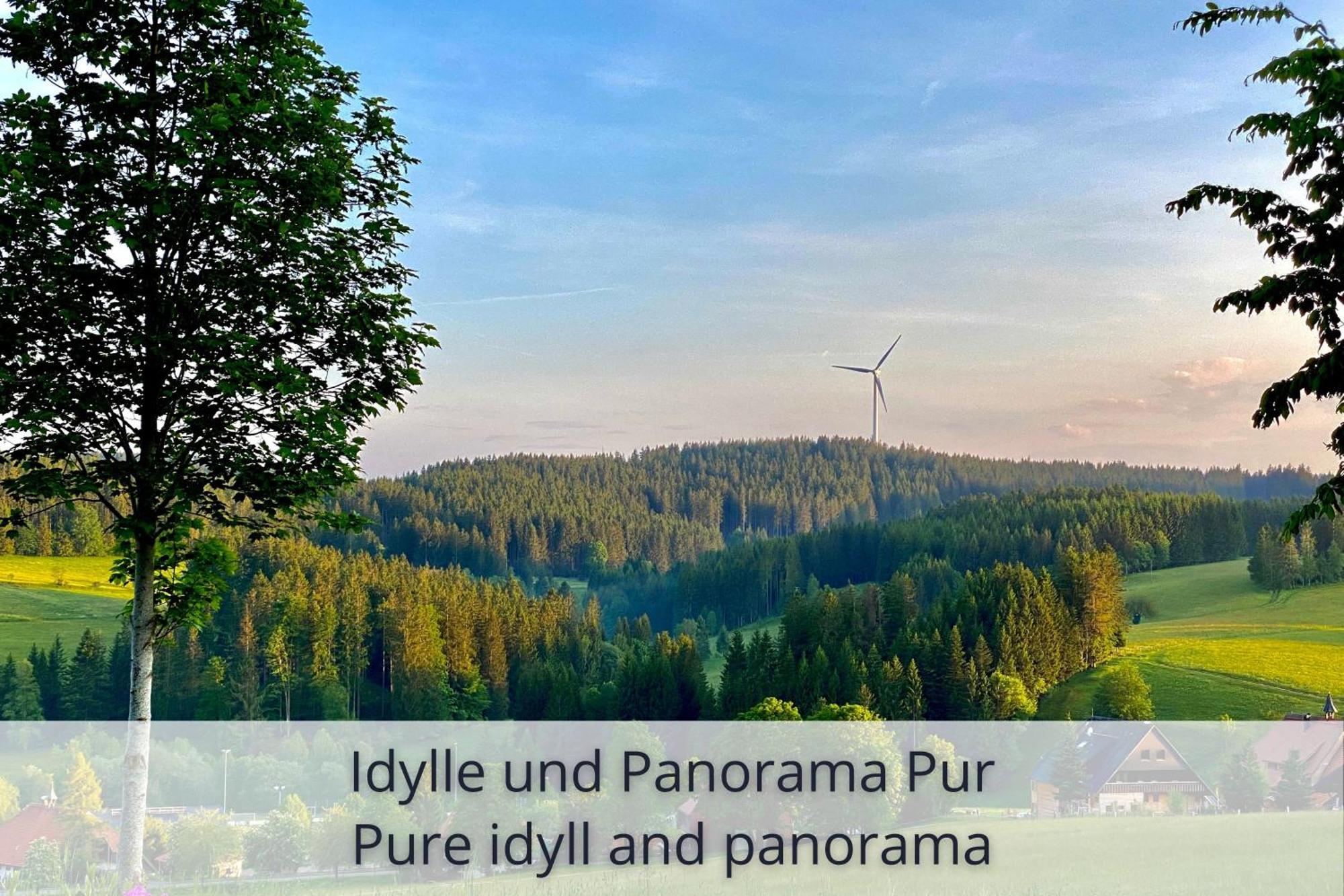 Auszeit Apartment Black Forest Schonach im Schwarzwald Eksteriør bilde