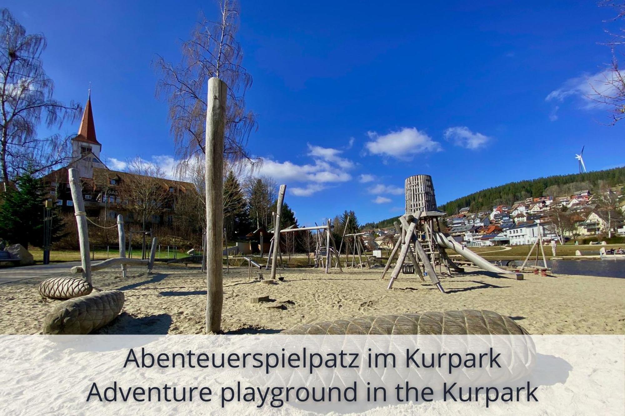 Auszeit Apartment Black Forest Schonach im Schwarzwald Eksteriør bilde