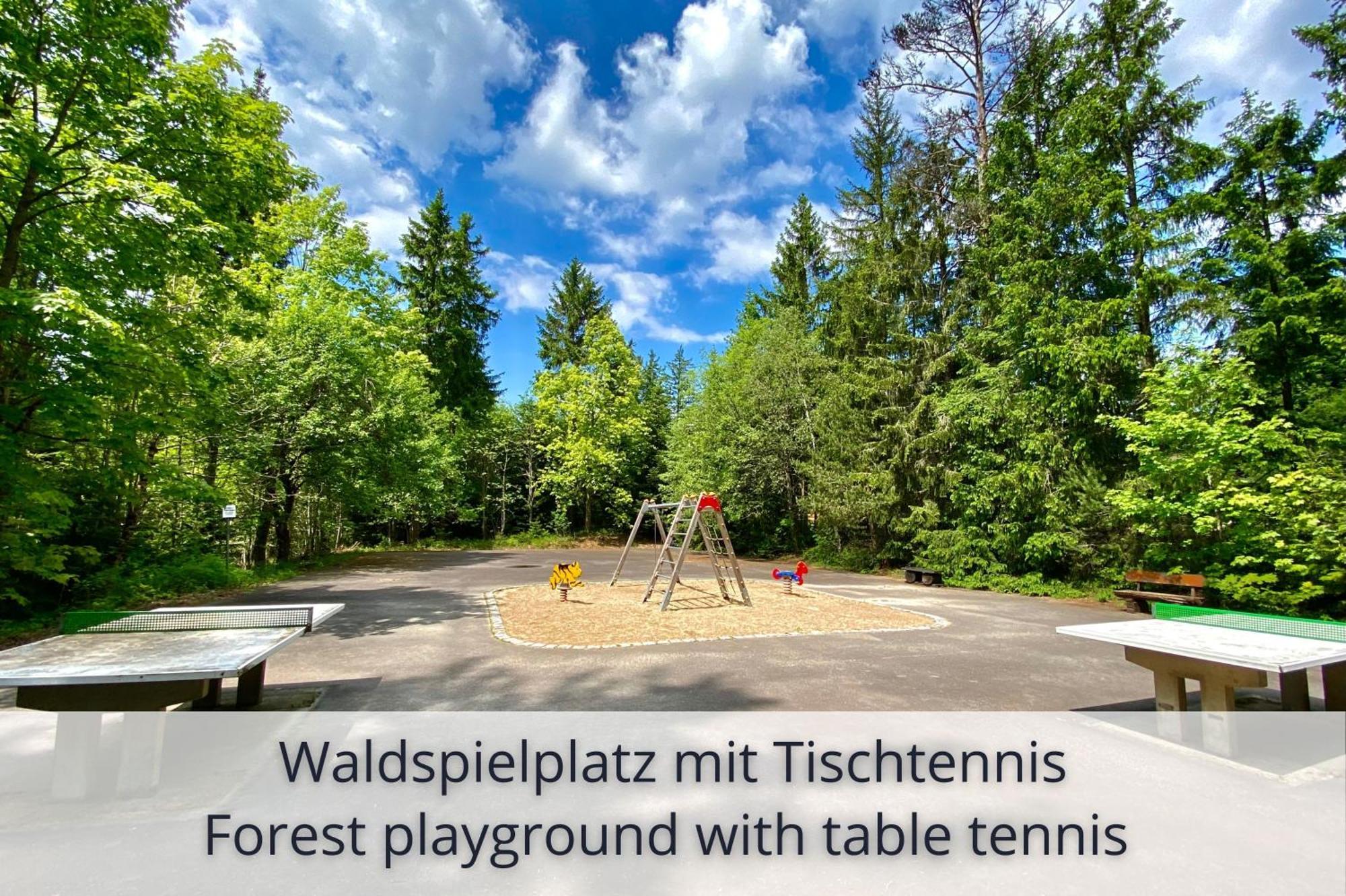 Auszeit Apartment Black Forest Schonach im Schwarzwald Eksteriør bilde